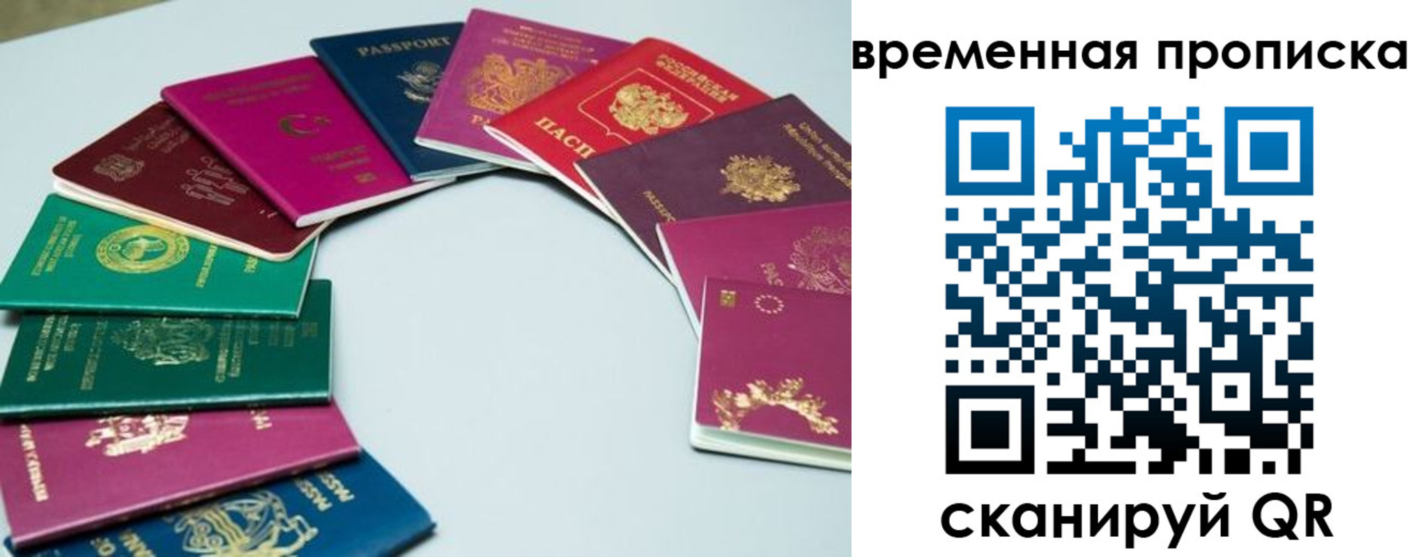 найти адрес прописки в Кировске